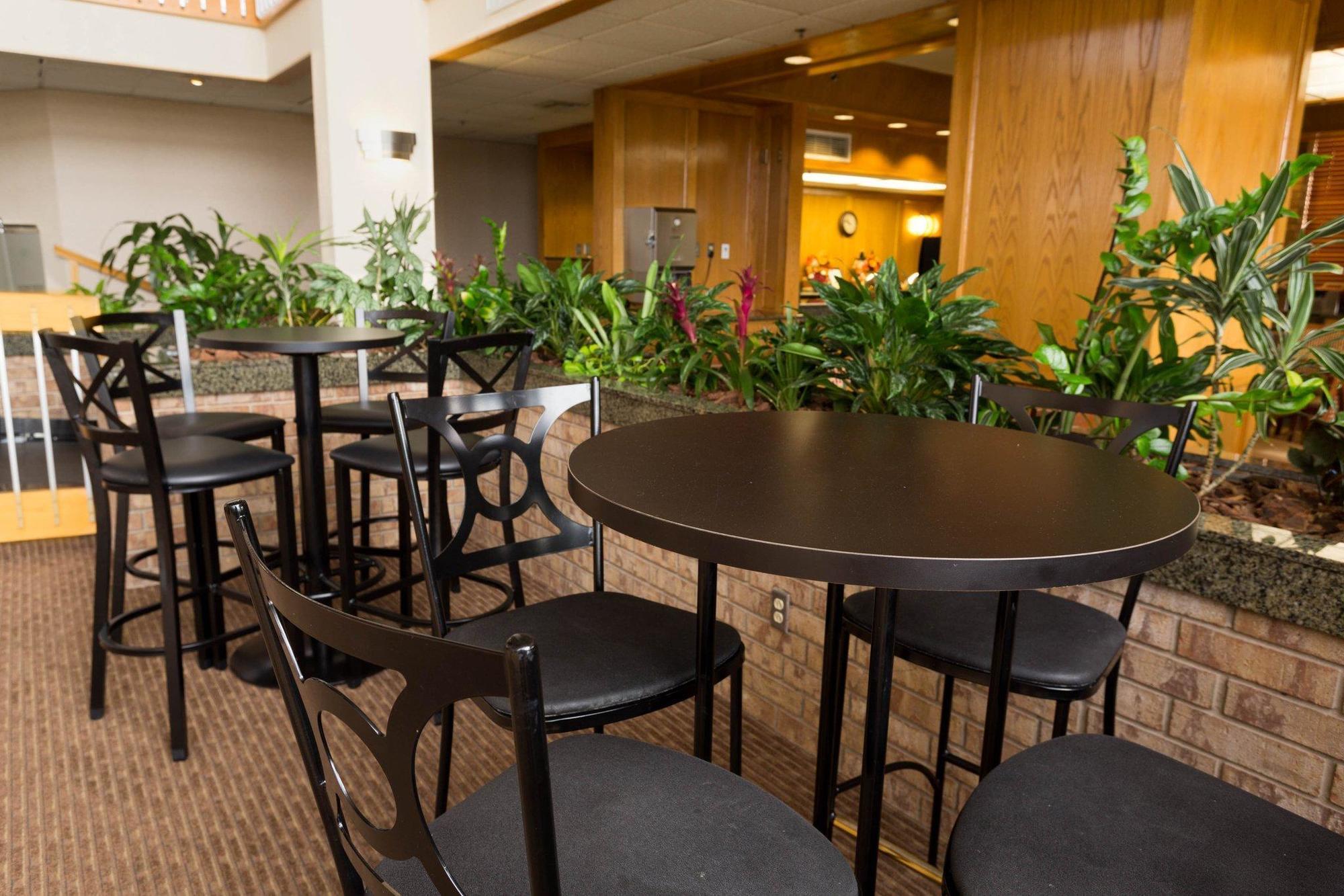 Holiday Inn - Mcallen - Medical Center Area By Ihg Exterior photo